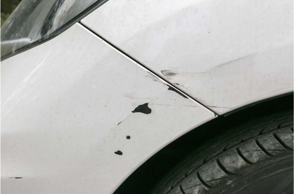 Tree Branch Scratches Car: How to Avoid, Fix, and Protect Your Car